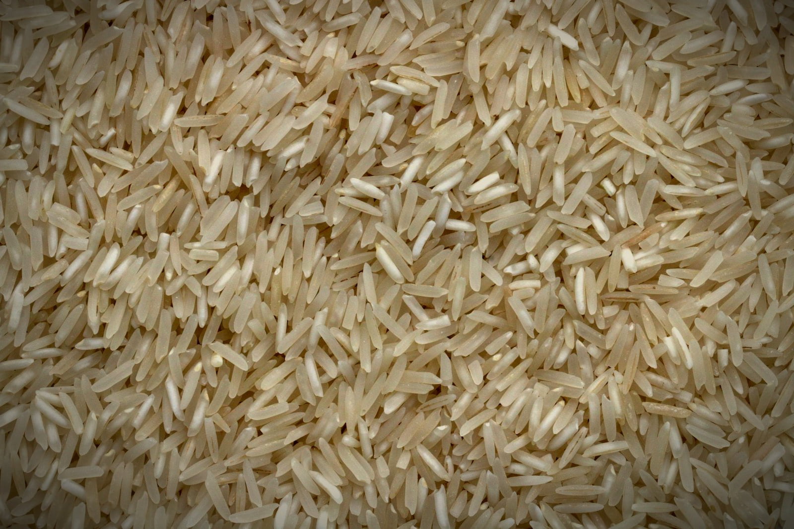 Long grains of aged basmati rice, close up
